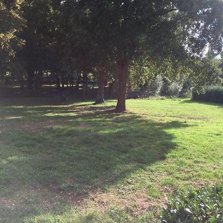 ホテルシャトー ル バルー Chemilly-sur-Yonne エクステリア 写真