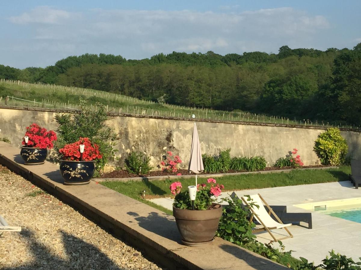 ホテルシャトー ル バルー Chemilly-sur-Yonne エクステリア 写真