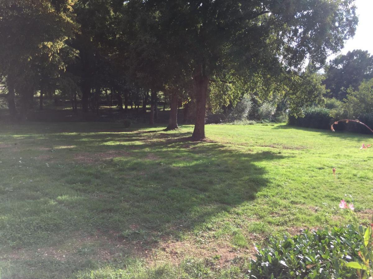 ホテルシャトー ル バルー Chemilly-sur-Yonne エクステリア 写真
