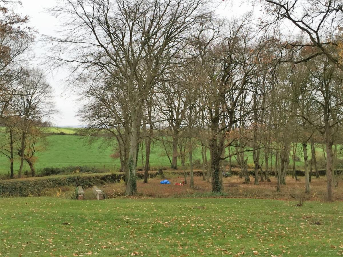 ホテルシャトー ル バルー Chemilly-sur-Yonne エクステリア 写真